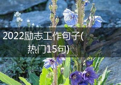 2022励志工作句子(热门15句)