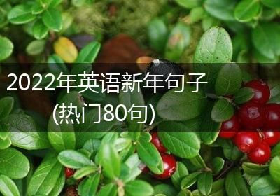 2022年英语新年句子(热门80句)