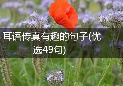 耳语传真有趣的句子(优选49句)