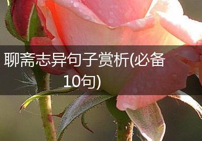 聊斋志异句子赏析(必备10句)