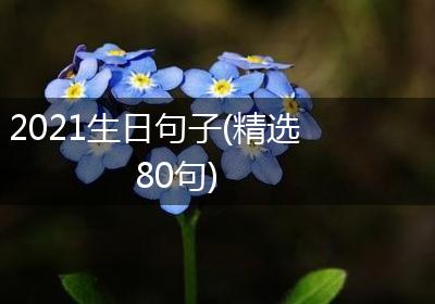 2021生日句子(精选80句)