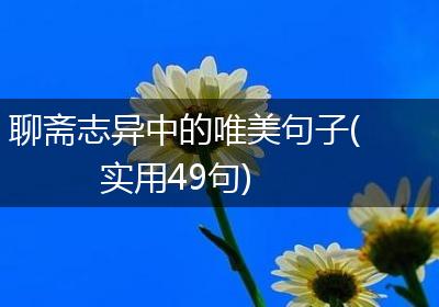 聊斋志异中的唯美句子(实用49句)