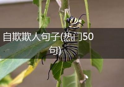 自欺欺人句子(热门50句)