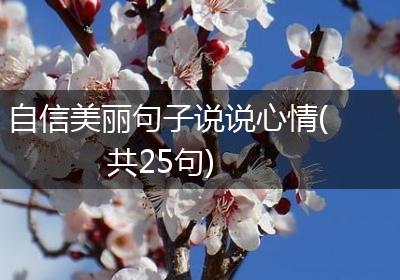 自信美丽句子说说心情(共25句)