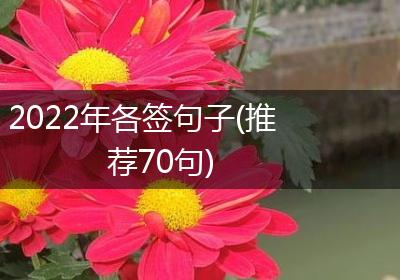 2022年各签句子(推荐70句)