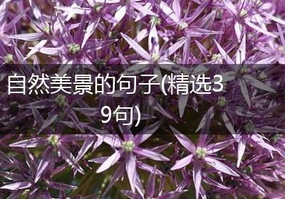 自然美景的句子(精选39句)