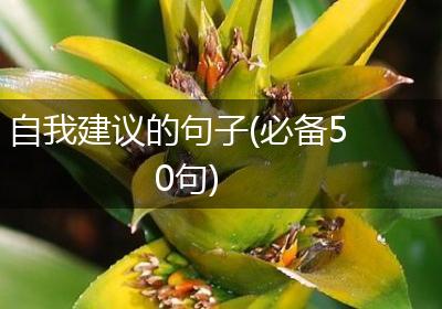 自我建议的句子(必备50句)