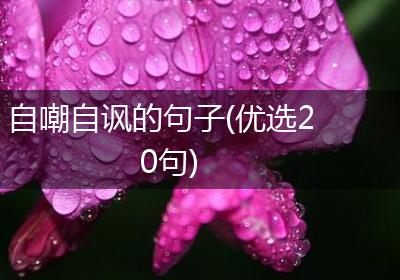自嘲自讽的句子(优选20句)