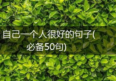 自己一个人很好的句子(必备50句)