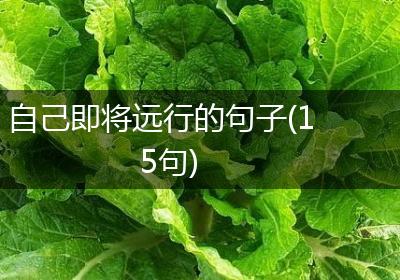 自己即将远行的句子(15句)