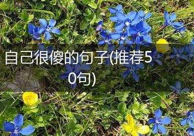 自己很傻的句子(推荐50句)