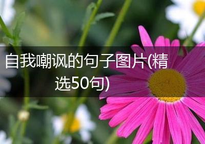 自我嘲讽的句子图片(精选50句)