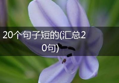 20个句子短的(汇总20句)