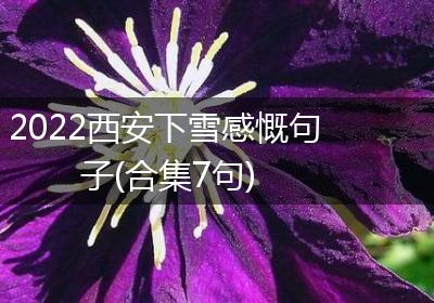 2022西安下雪感慨句子(合集7句)