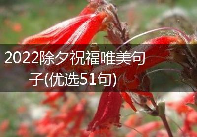 2022除夕祝福唯美句子(优选51句)