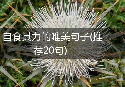 自食其力的唯美句子(推荐20句)
