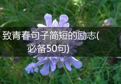 致青春句子简短的励志(必备50句)