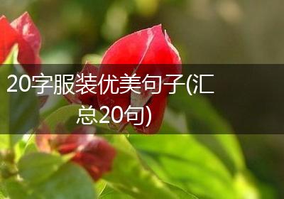 20字服装优美句子(汇总20句)