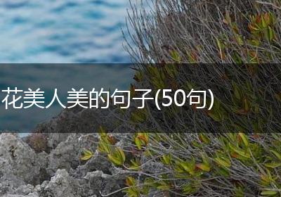 花美人美的句子(50句)