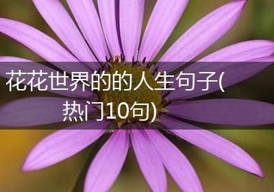 花花世界的的人生句子(热门10句)