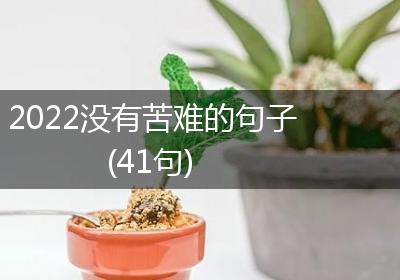 2022没有苦难的句子(41句)