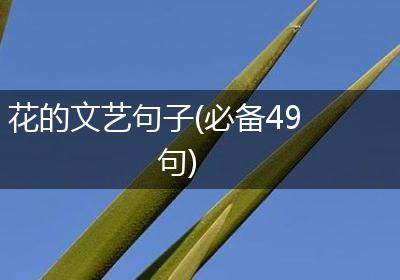 花的文艺句子(必备49句)