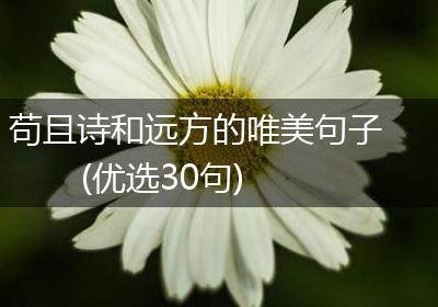 苟且诗和远方的唯美句子(优选30句)