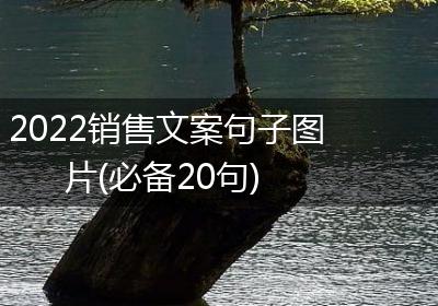 2022销售文案句子图片(必备20句)