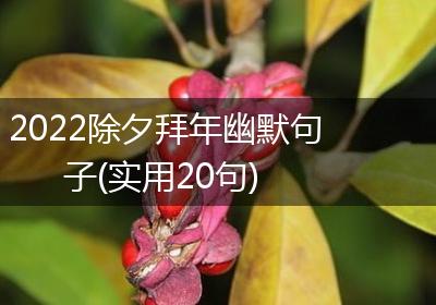 2022除夕拜年幽默句子(实用20句)