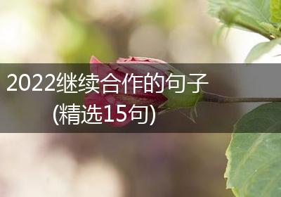2022继续合作的句子(精选15句)