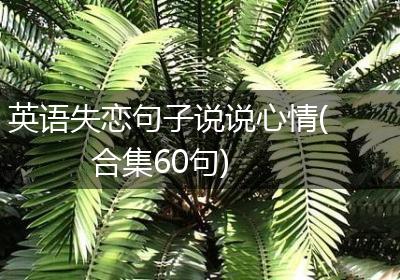 英语失恋句子说说心情(合集60句)
