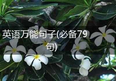 英语万能句子(必备79句)