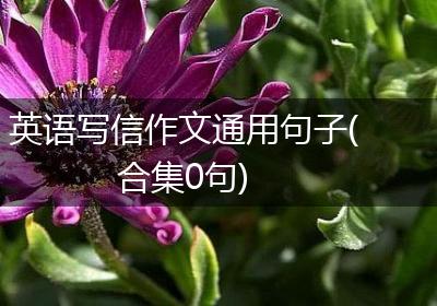 英语写信作文通用句子(合集0句)