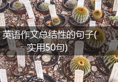 英语作文总结性的句子(实用50句)