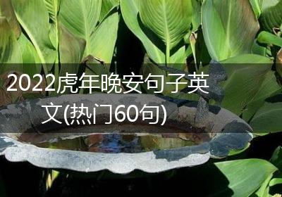 2022虎年晚安句子英文(热门60句)