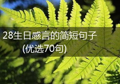 28生日感言的简短句子(优选70句)