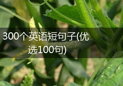 300个英语短句子(优选100句)