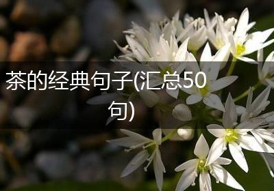 茶的经典句子(汇总50句)