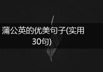蒲公英的优美句子(实用30句)