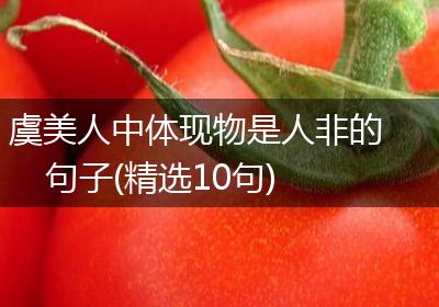 虞美人中体现物是人非的句子(精选10句)