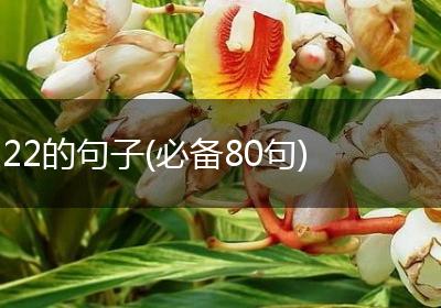 22的句子(必备80句)