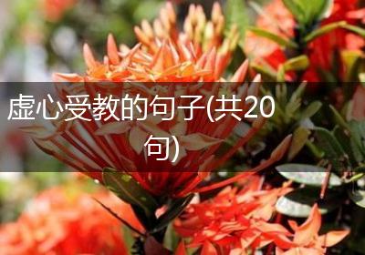 虚心受教的句子(共20句)