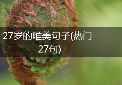 27岁的唯美句子(热门27句)
