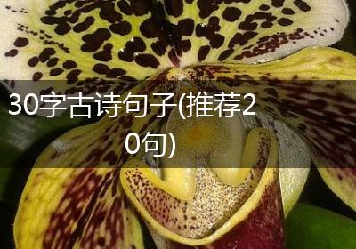 30字古诗句子(推荐20句)