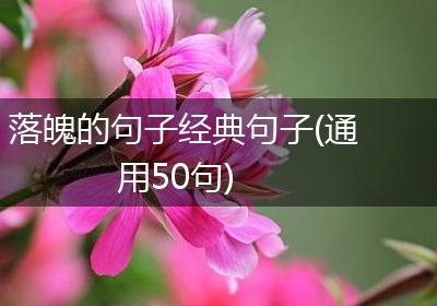 落魄的句子经典句子(通用50句)