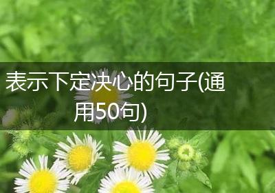 表示下定决心的句子(通用50句)
