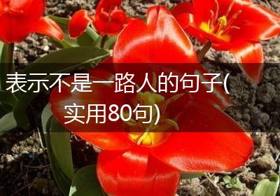 表示不是一路人的句子(实用80句)