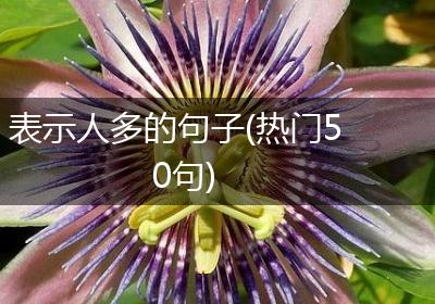表示人多的句子(热门50句)
