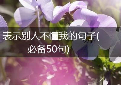 表示别人不懂我的句子(必备50句)