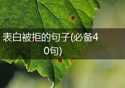 表白被拒的句子(必备40句)